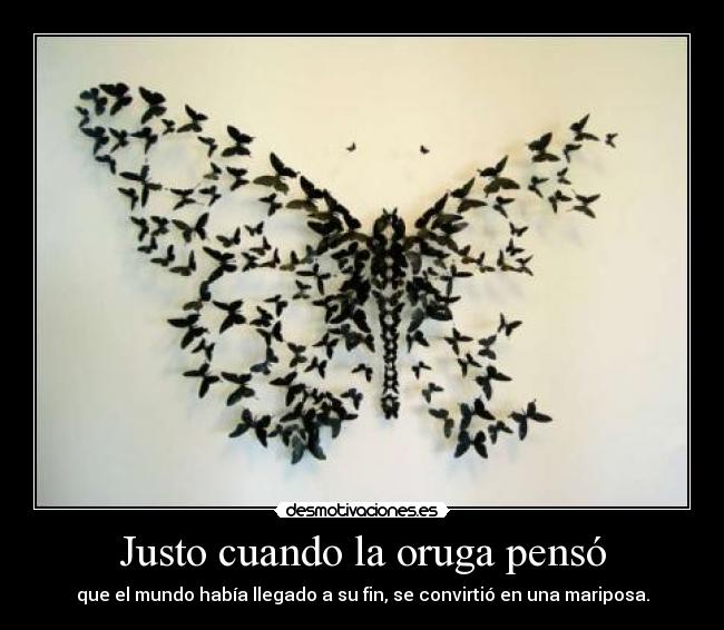 Justo cuando la oruga pensó - que el mundo había llegado a su fin, se convirtió en una mariposa.