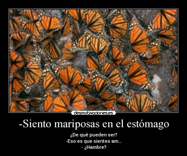-Siento mariposas en el estómago - ¿De qué pueden ser?
-Eso es que sientes am...
- ¿Hambre?