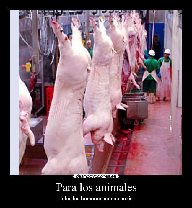 Para los animales - todos los humanos somos nazis.