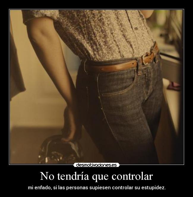 No tendría que controlar - mi enfado, si las personas supiesen controlar su estupidez.
