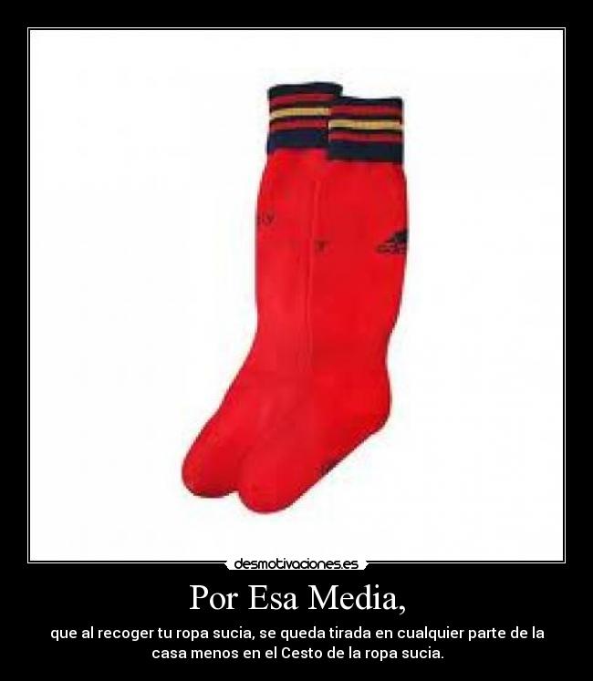 carteles steffany desmotivaciones