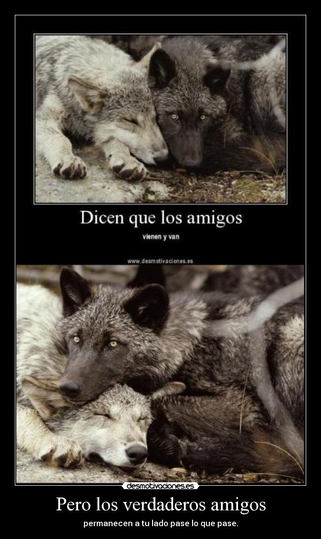 Pero los verdaderos amigos - 