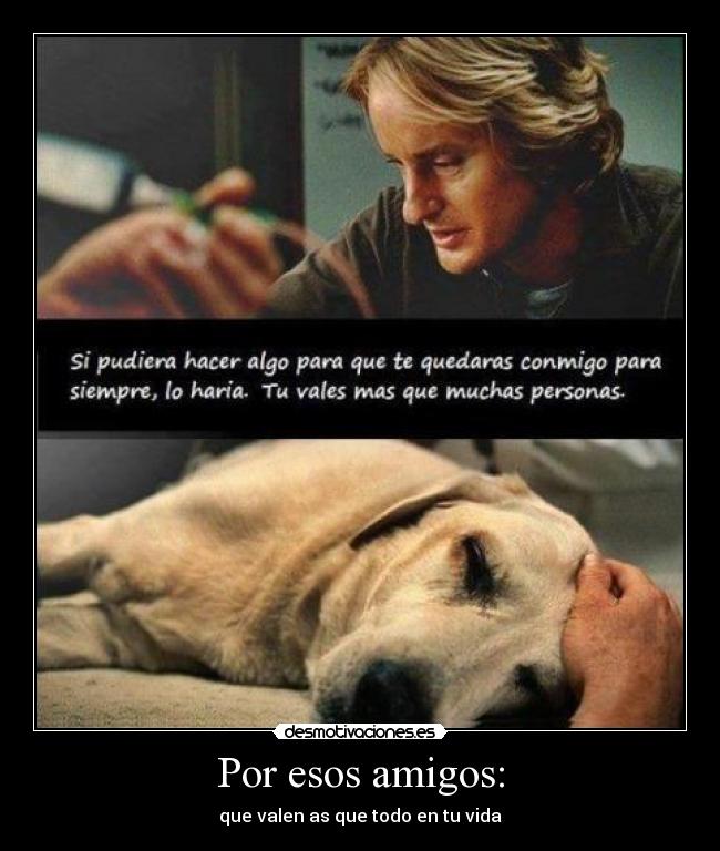 Por esos amigos: - que valen as que todo en tu vida