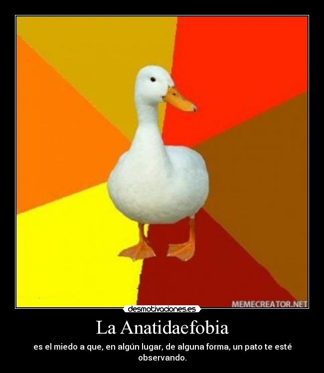 La Anatidaefobia - es el miedo a que, en algún lugar, de alguna forma, un pato te esté observando.