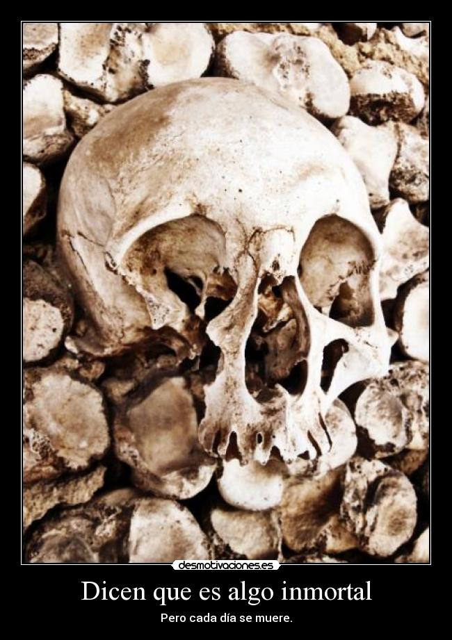 carteles amm lvu desmotivaciones