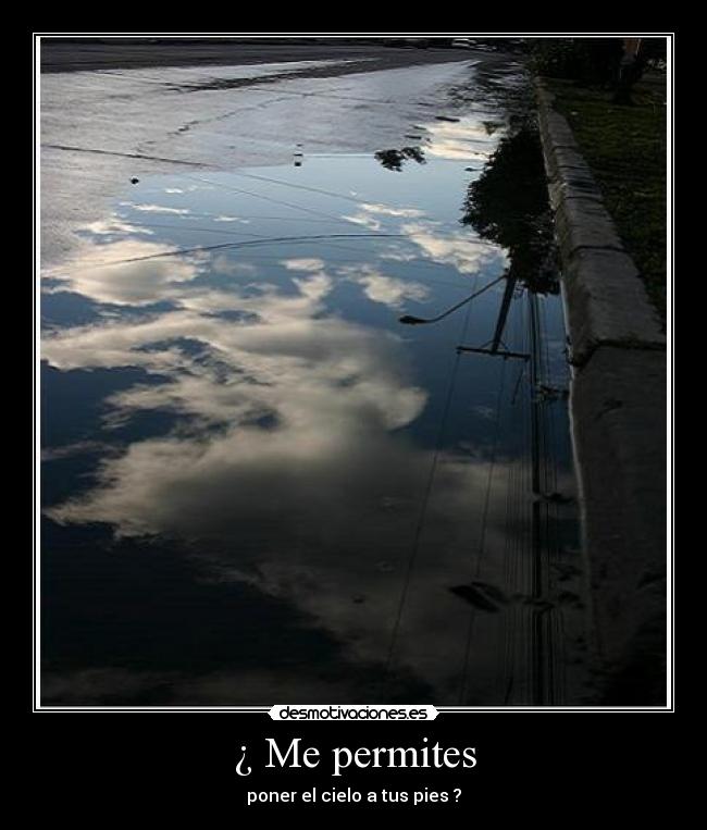 ¿ Me permites -