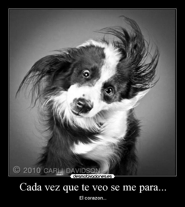 carteles erfrfrgr desmotivaciones