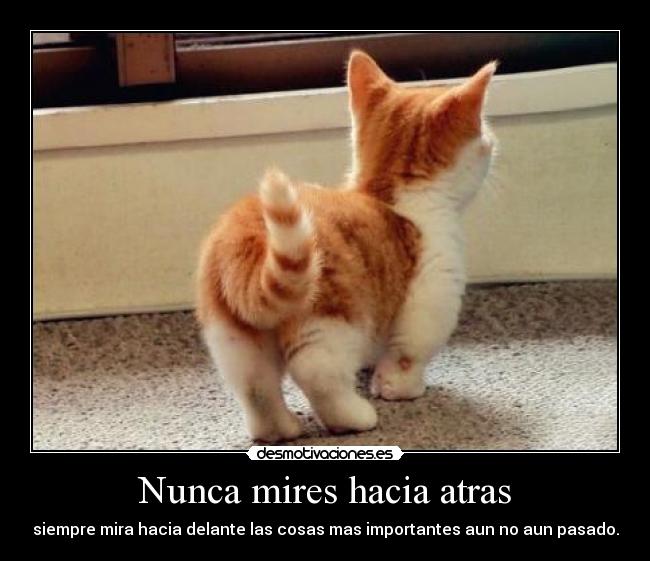 Nunca mires hacia atras - siempre mira hacia delante las cosas mas importantes aun no aun pasado.