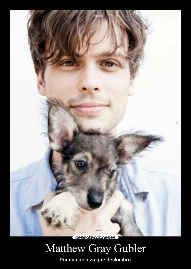 Matthew Gray Gubler - Por esa belleza que deslumbra.