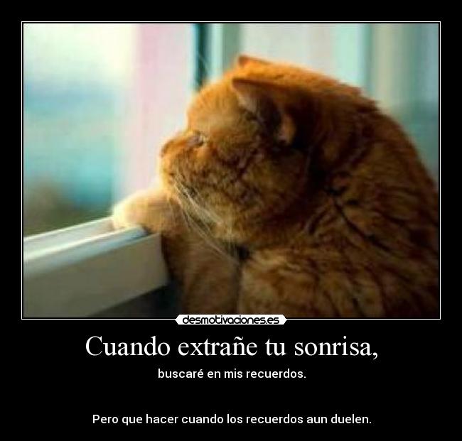 Cuando extrañe tu sonrisa, - buscaré en mis recuerdos.
Pero que hacer cuando los recuerdos aun duelen.