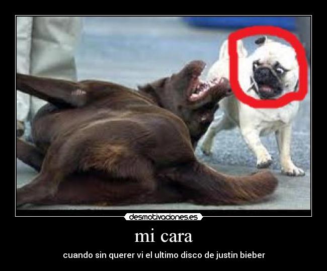 carteles mige07 desmotivaciones