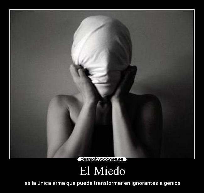 carteles miedo reflexion reflexion miedo inteligencia genios gobierno inquisicion inquicicion desmotivaciones