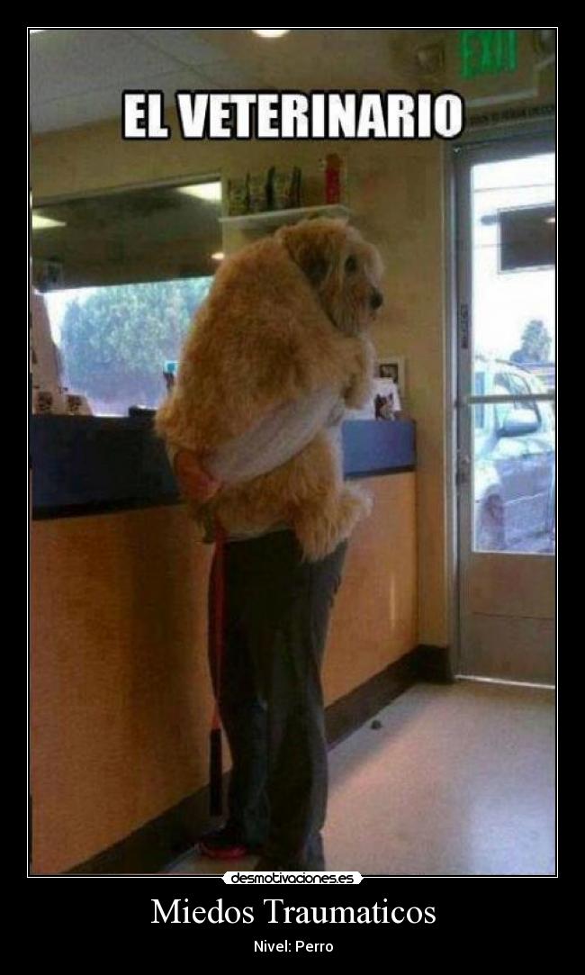 Miedos Traumaticos -