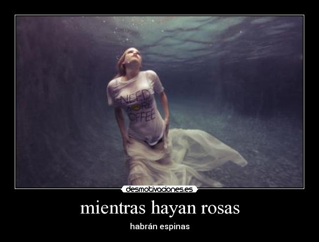mientras hayan rosas -