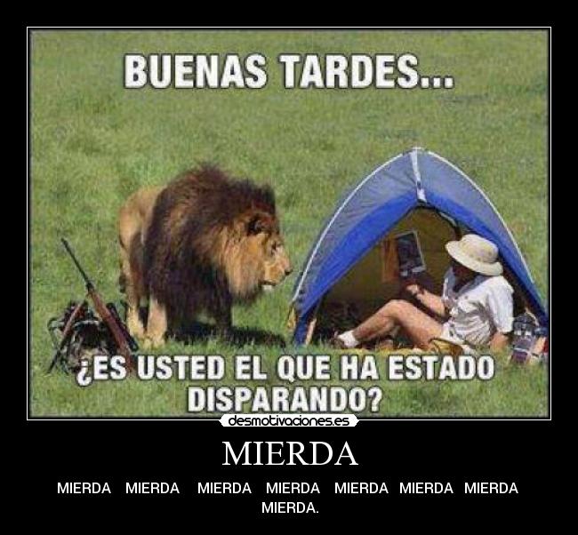 MIERDA - MIERDA    MIERDA     MIERDA    MIERDA    MIERDA   MIERDA   MIERDA  MIERDA.