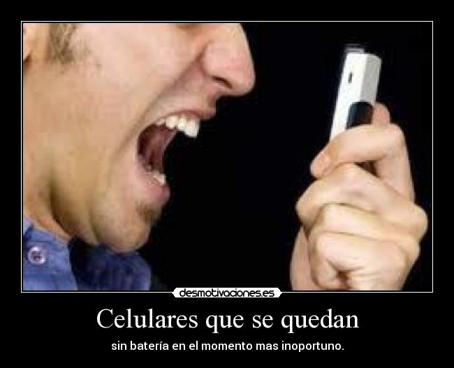 Celulares que se quedan - 