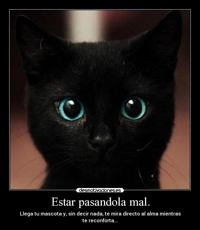 carteles pasa mucho les apreciamos suficiente desmotivaciones