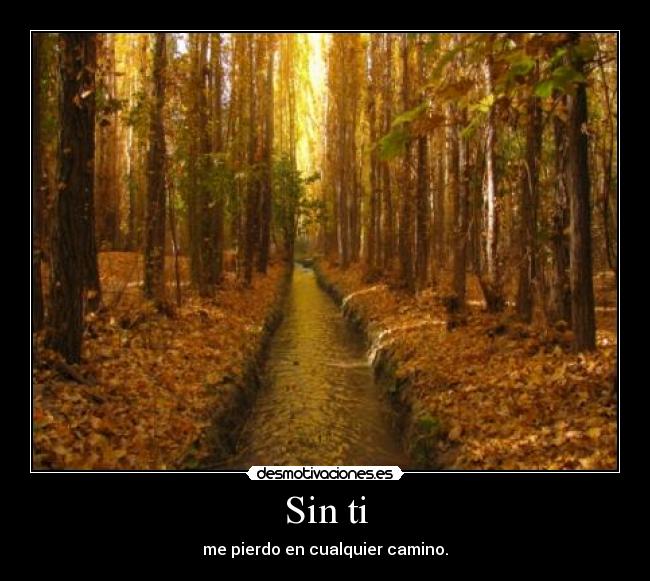 Sin ti -
