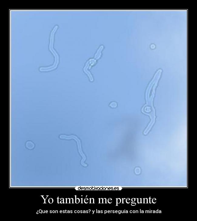 Yo también me pregunte -