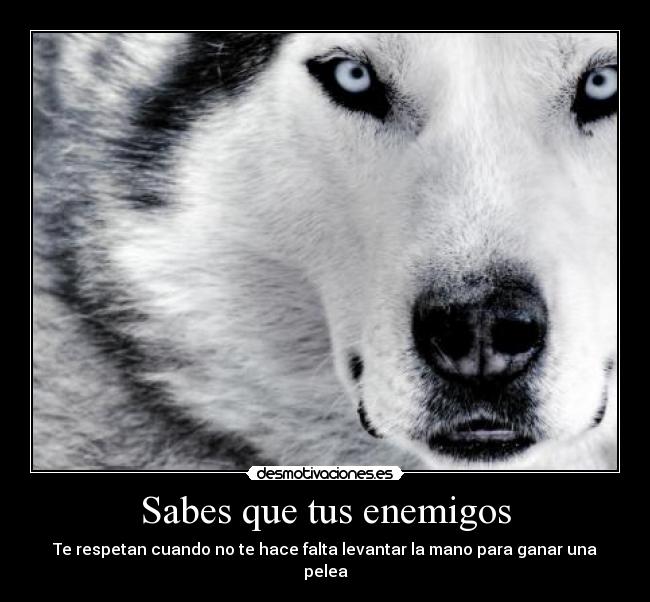 carteles sabes que tus enemigos respetan desmotivaciones