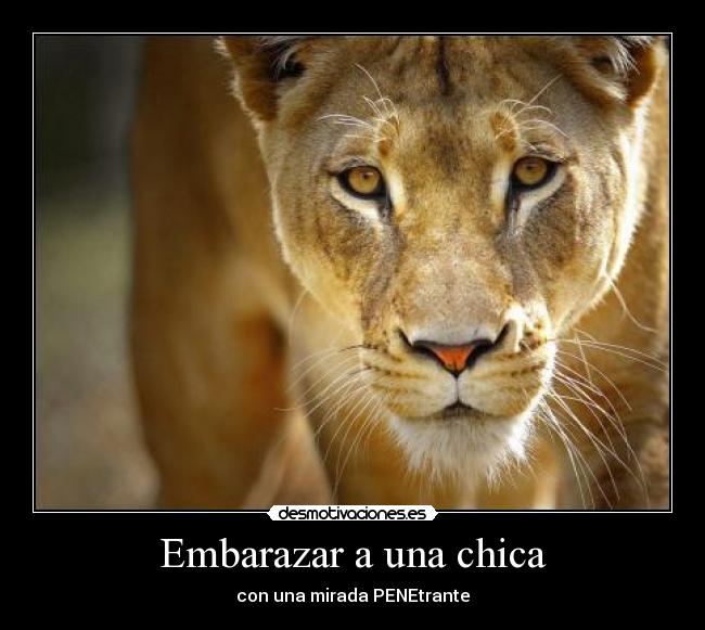 Embarazar a una chica - con una mirada PENEtrante