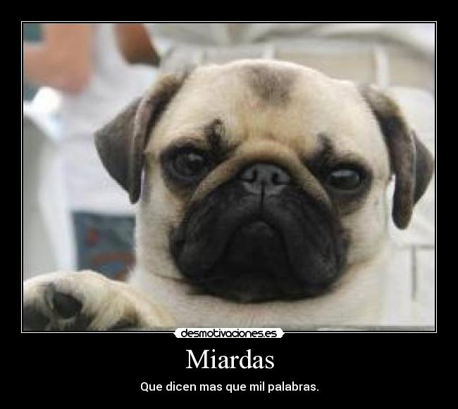 carteles miradas desmotivaciones