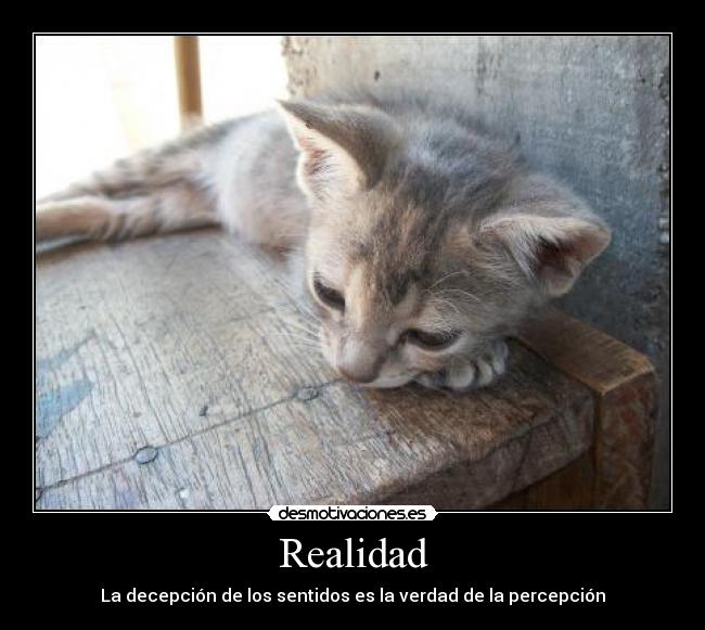 Realidad -