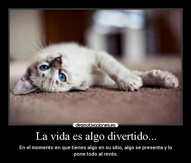 carteles vida zayn malik desmotivaciones