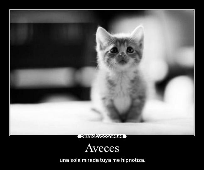 Aveces -