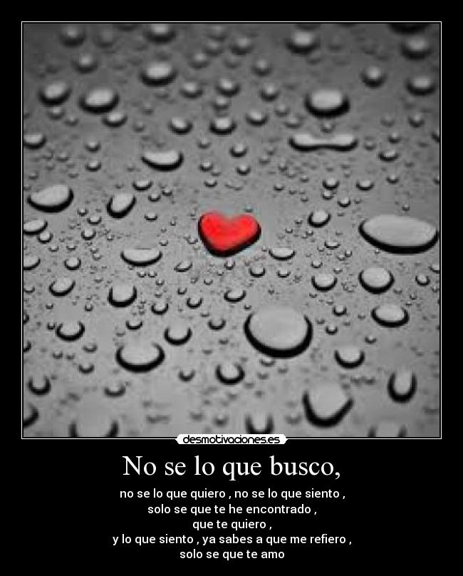 No se lo que busco, - no se lo que quiero , no se lo que siento ,
solo se que te he encontrado ,
que te quiero ,
y lo que siento , ya sabes a que me refiero ,
solo se que te amo