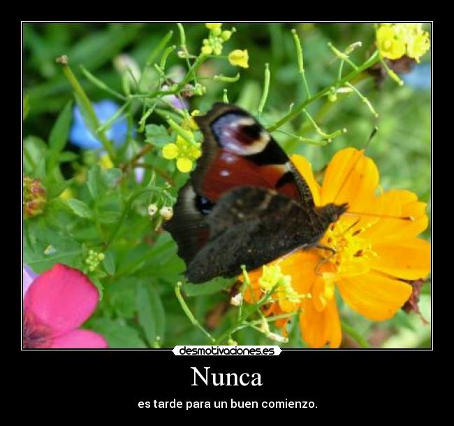 Nunca - es tarde para un buen comienzo.