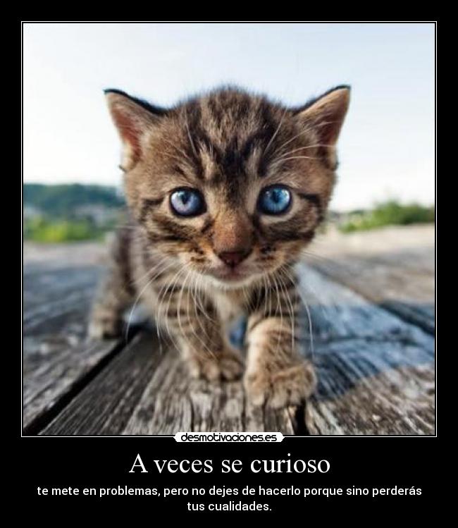 A veces se curioso -