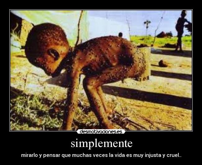 simplemente - mirarlo y pensar que muchas veces la vida es muy injusta y cruel..