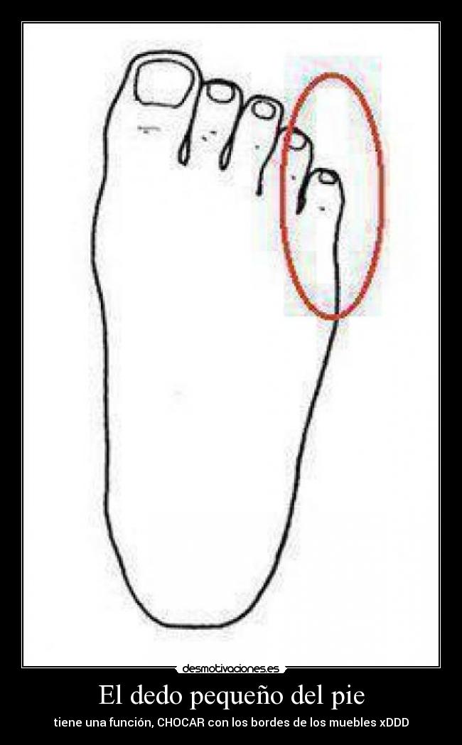 El dedo pequeño del pie - tiene una función, CHOCAR con los bordes de los muebles xDDD