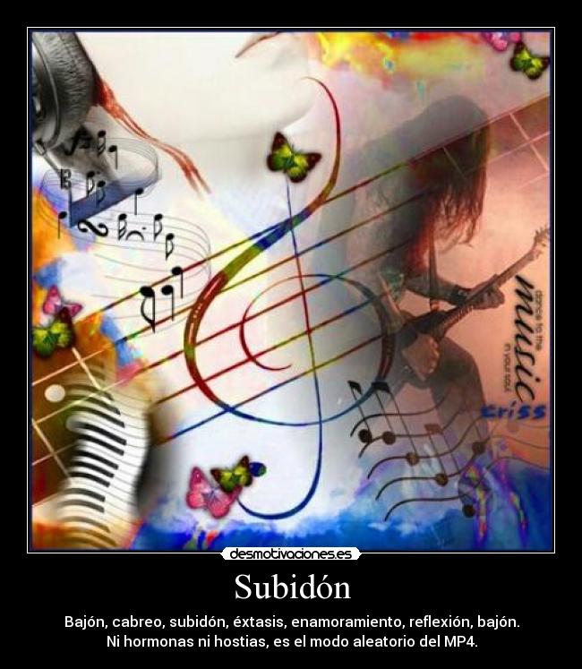 carteles subidon bajon cabreo extasis enamoramiento reflexion bajon hormonas modo aleatorio mp4 desmotivaciones