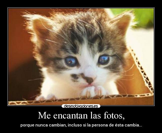 Me encantan las fotos, - porque nunca cambian, incluso si la persona de ésta cambia...
