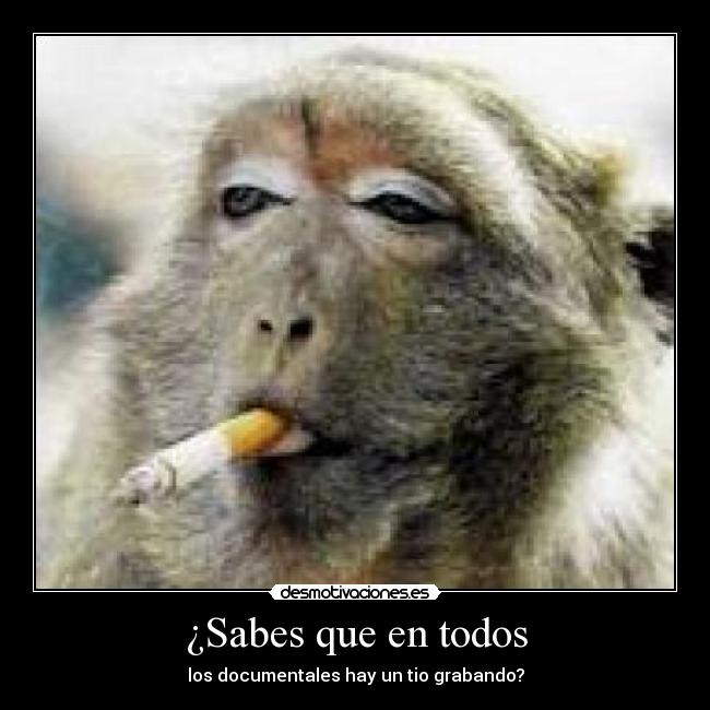 ¿Sabes que en todos - los documentales hay un tio grabando?
