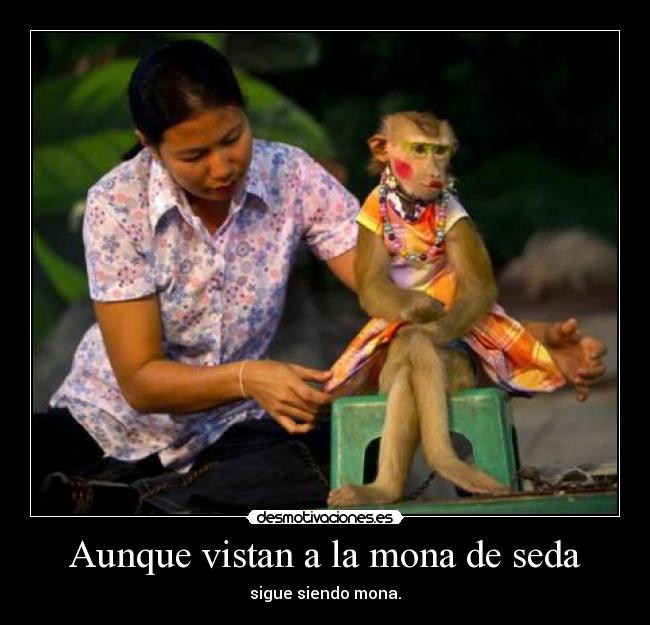 carteles osea las tontas tontos que creen porque usan ropa calidad desmotivaciones