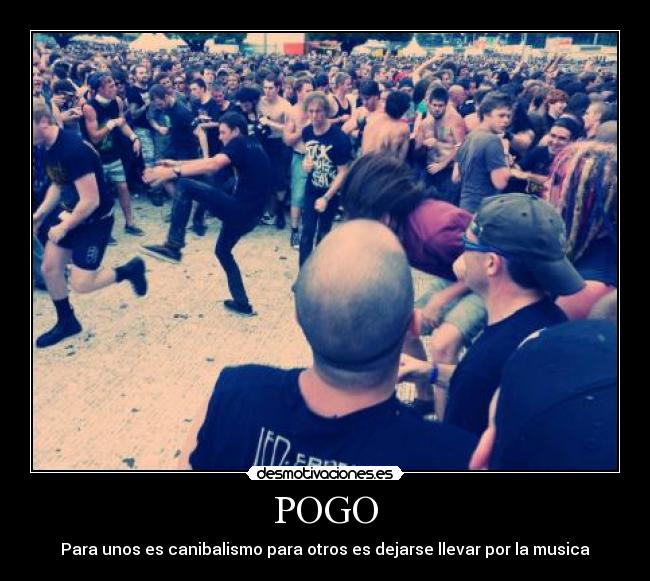 Imágenes y Carteles de POGO Pag. 2 Desmotivaciones