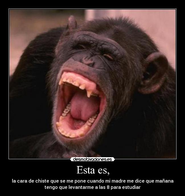 Esta es, - la cara de chiste que se me pone cuando mi madre me dice que mañana
tengo que levantarme a las 8 para estudiar