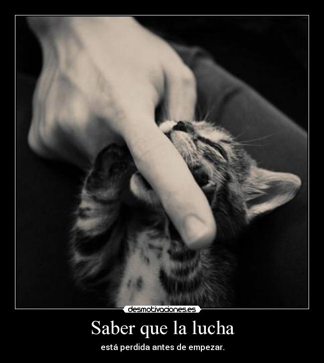 Saber que la lucha - 