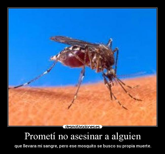 Prometí no asesinar a alguien - 