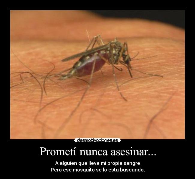 Prometí nunca asesinar... -
