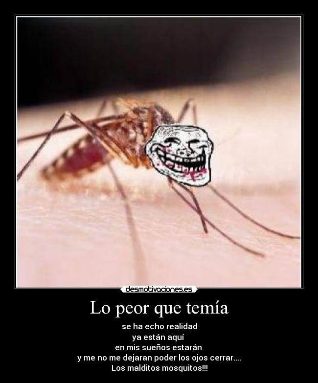 Lo peor que temía - se ha echo realidad
ya están aquí
en mis sueños estarán
y me no me dejaran poder los ojos cerrar....
Los malditos mosquitos!!!