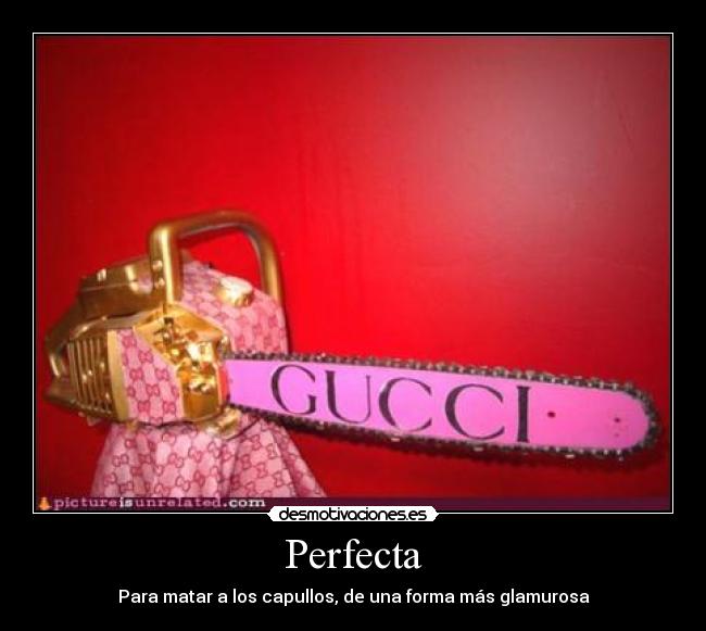Perfecta - Para matar a los capullos, de una forma más glamurosa
