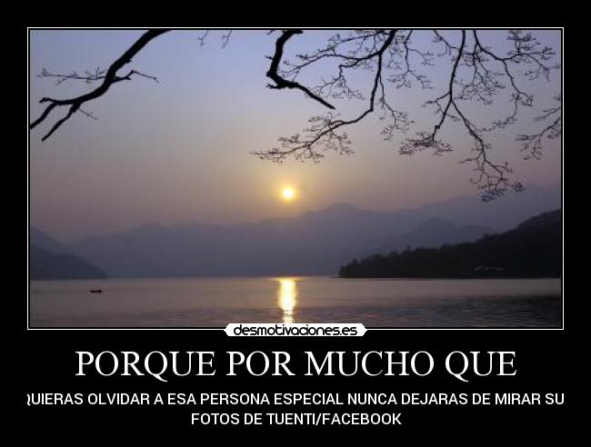 carteles porque por muvho que desmotivaciones