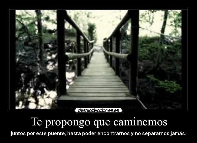 Te propongo que caminemos - juntos por este puente, hasta poder encontrarnos y no separarnos jamás.