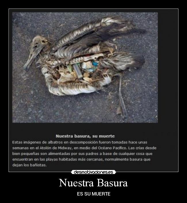 Nuestra Basura -