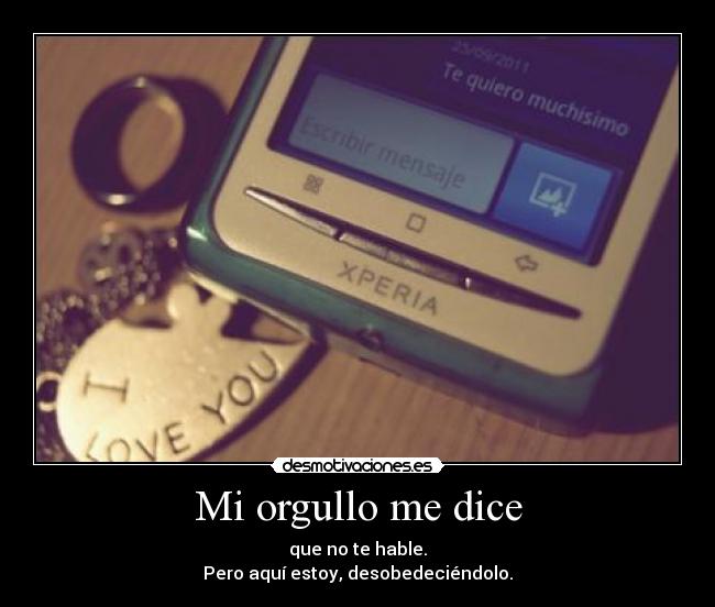 carteles orgullo desmotivaciones