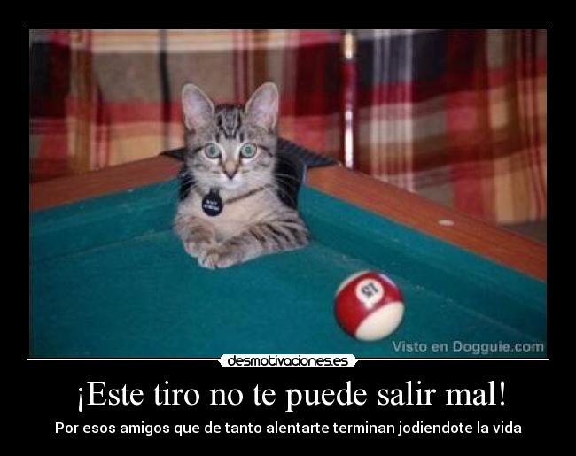 ¡Este tiro no te puede salir mal! -